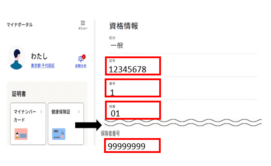 マイナポータルの資格情報の見本。番号等の記載位置を赤枠で示しています。