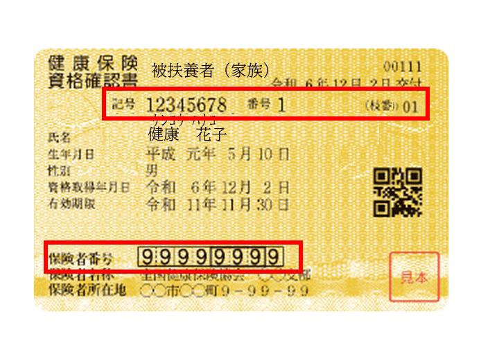 資格確認書の見本。番号等の記載位置を赤枠で示しています。